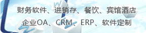 軟件正需求定制與開發